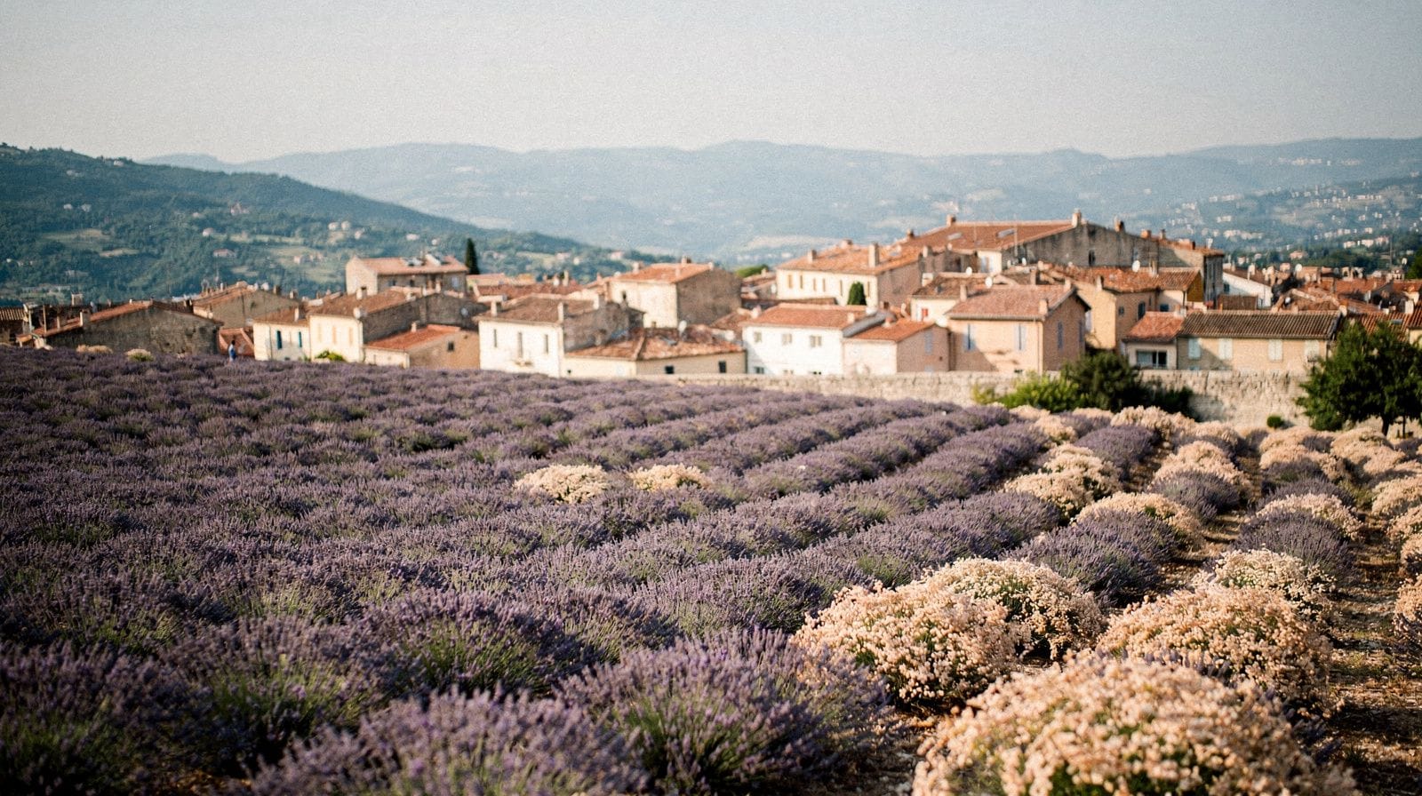Grasse: la capital mundial del perfume en la Costa Azul