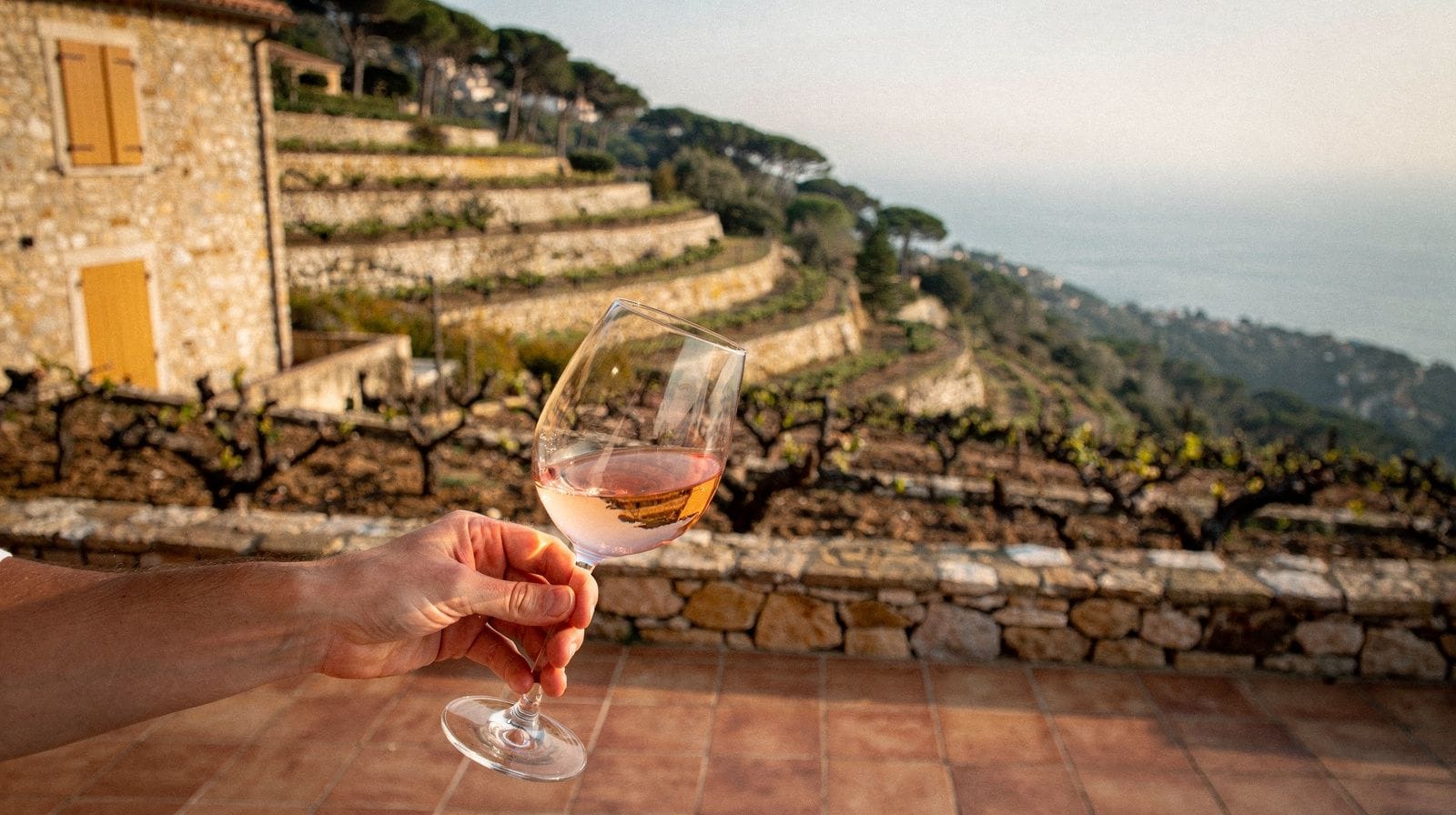 Cata de vinos de Bellet y Provenza desde Niza