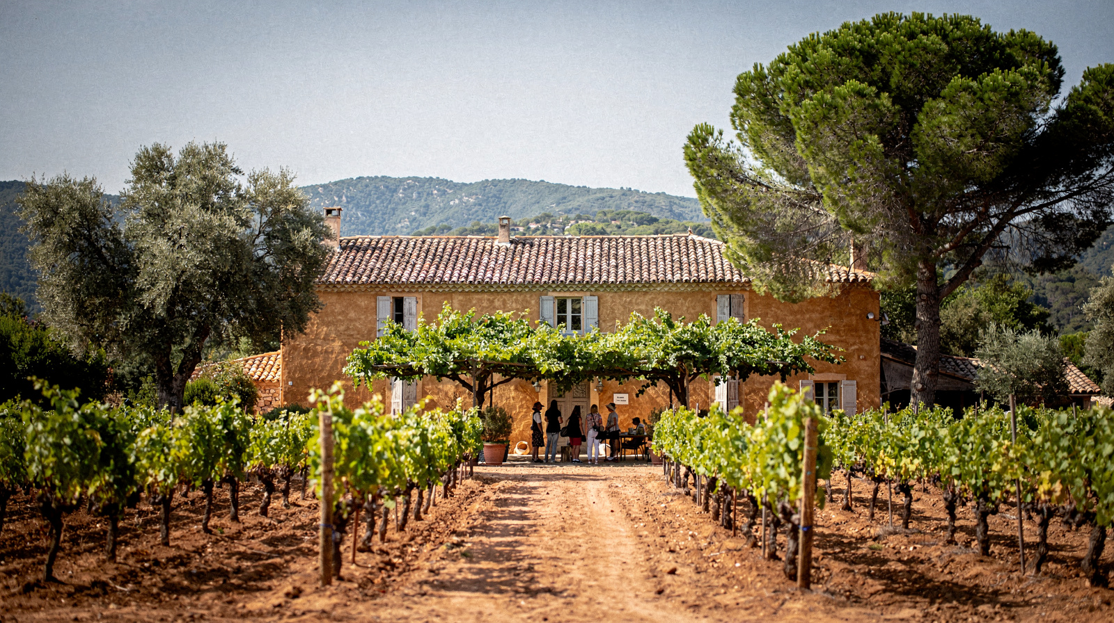 Catas de vino y rutas gastronómicas en Saint-Tropez
